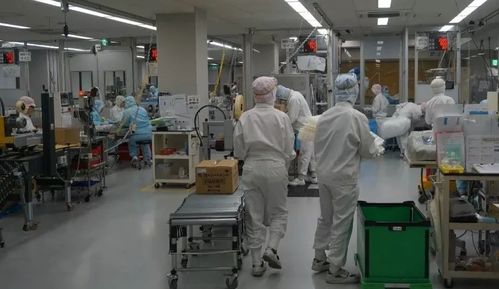 日本药妆店值得买 水肿克星 吸油圣斗士